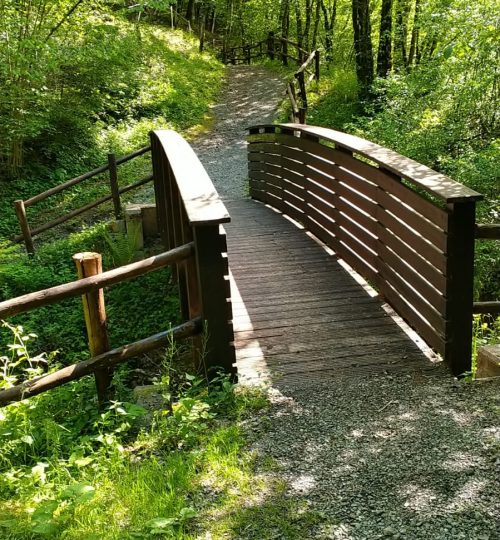 uno dei tanti ponti in Valle Brunone